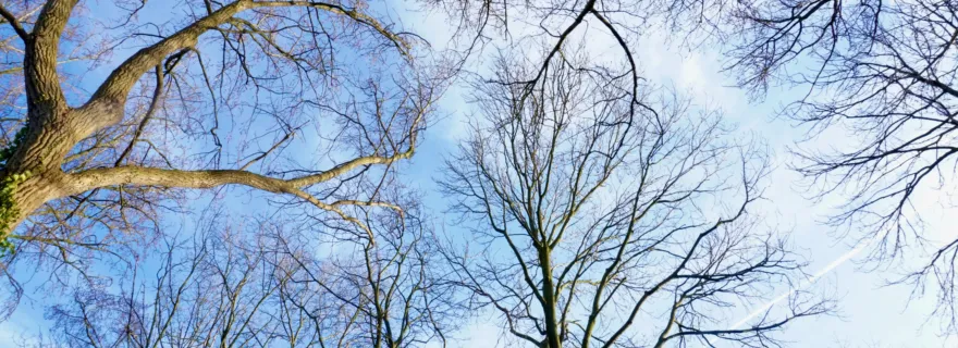 The interrupted flow: How writing shapes fieldwork and vice versa