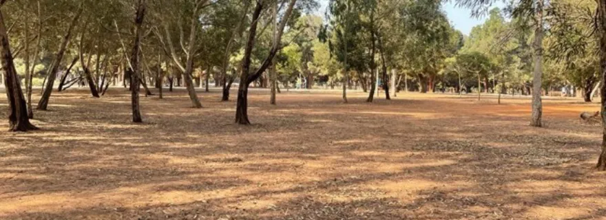 Part 2 - Fieldwork on-site: Let's pick up where we left off