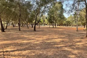 Part 2 - Fieldwork on-site: Let's pick up where we left off