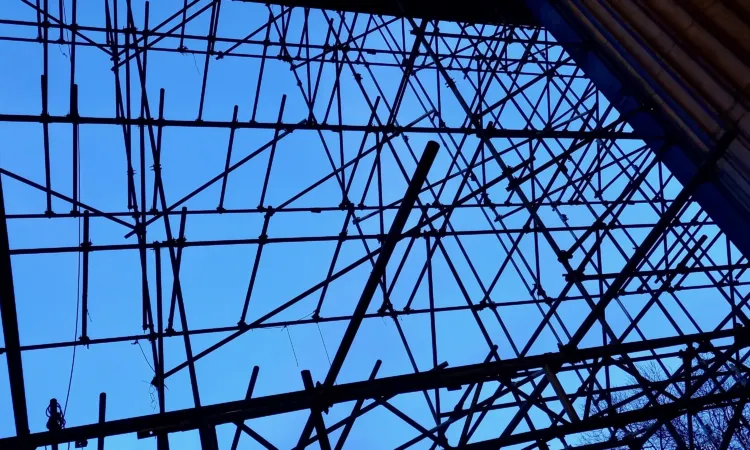 Part 2 Fieldwork in challenging times: The power of networks and screens